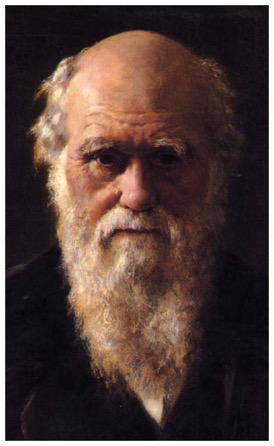 darwin collier portrait